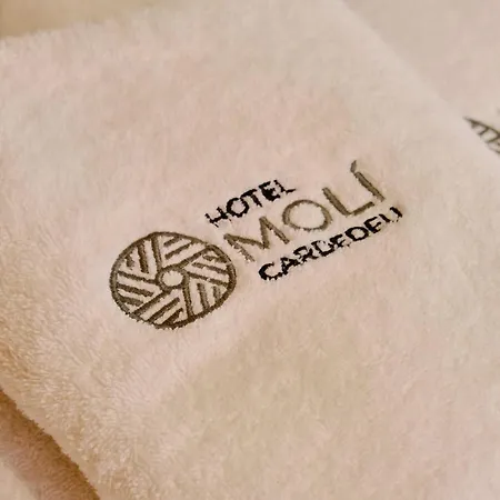 Hotel Moli Cardedeu